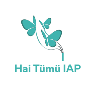 Fundación Hai Tümü IAP