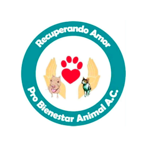 Recuperando Amor Pro bienestar Animal AC