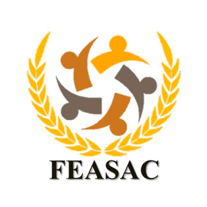 Fomento Educativo y Asistencia Social A.C.