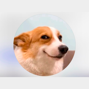 Centro de Soporte "Paz"