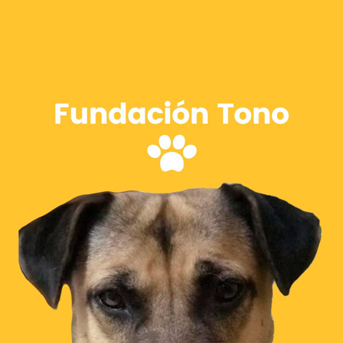 Fundación Tono, A.C.